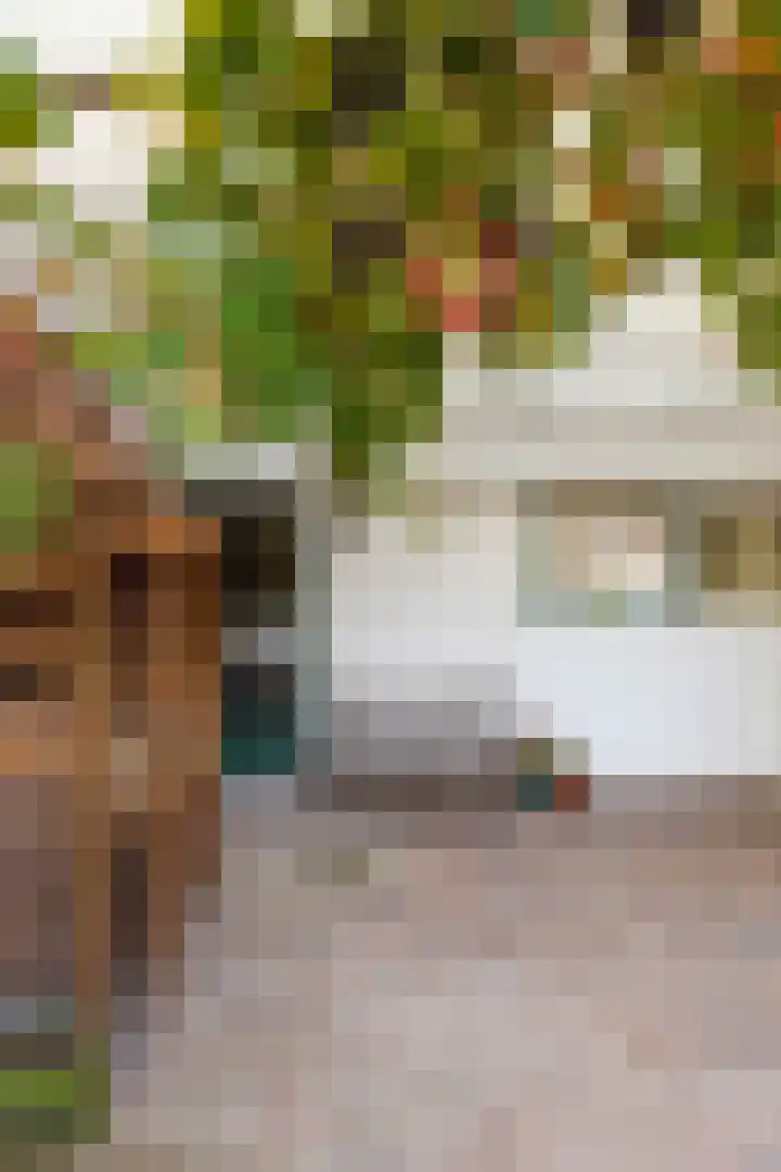 Jasmijnstraat 2 Winsum thumbnail 6