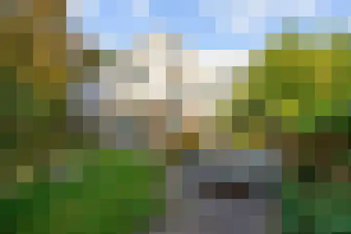 Jasmijnstraat 2 Winsum thumbnail 60