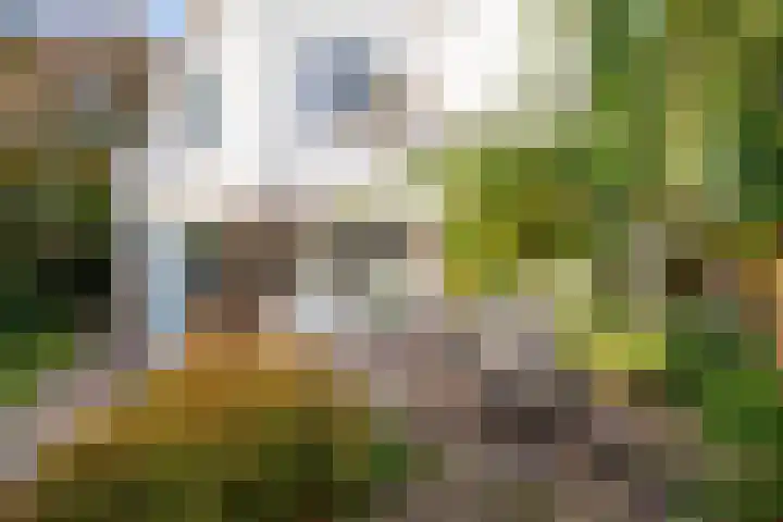 Jasmijnstraat 2 Winsum thumbnail 63