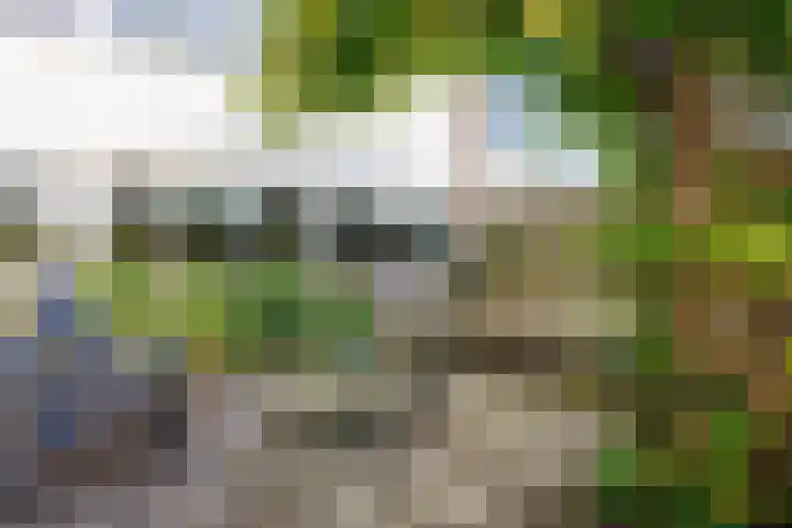 Jasmijnstraat 2 Winsum thumbnail 64