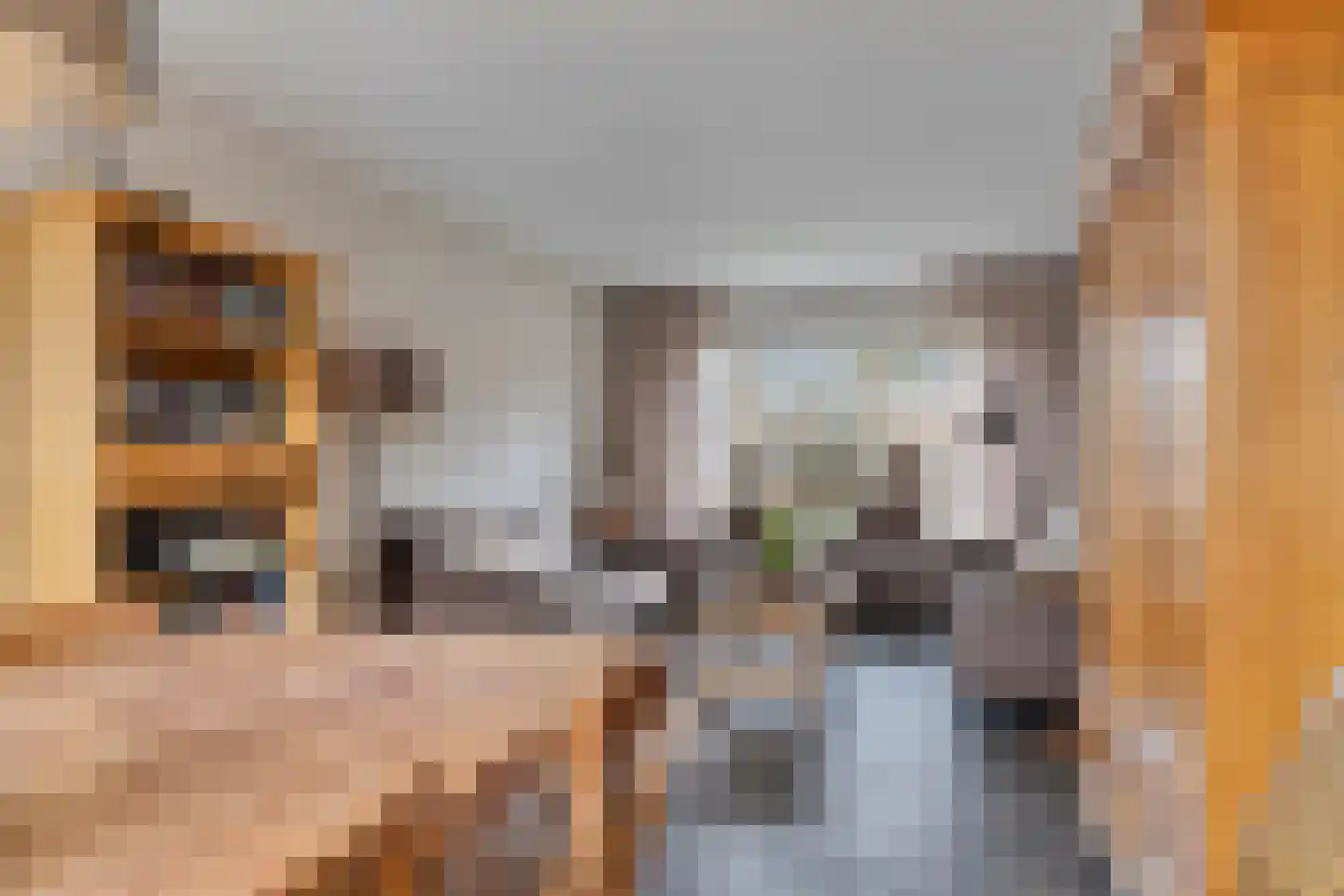 Jasmijnstraat 20 Ederveen thumbnail 18
