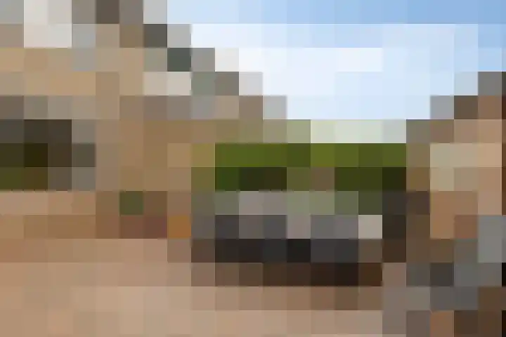 Jasmijnstraat 20 Ederveen thumbnail 35