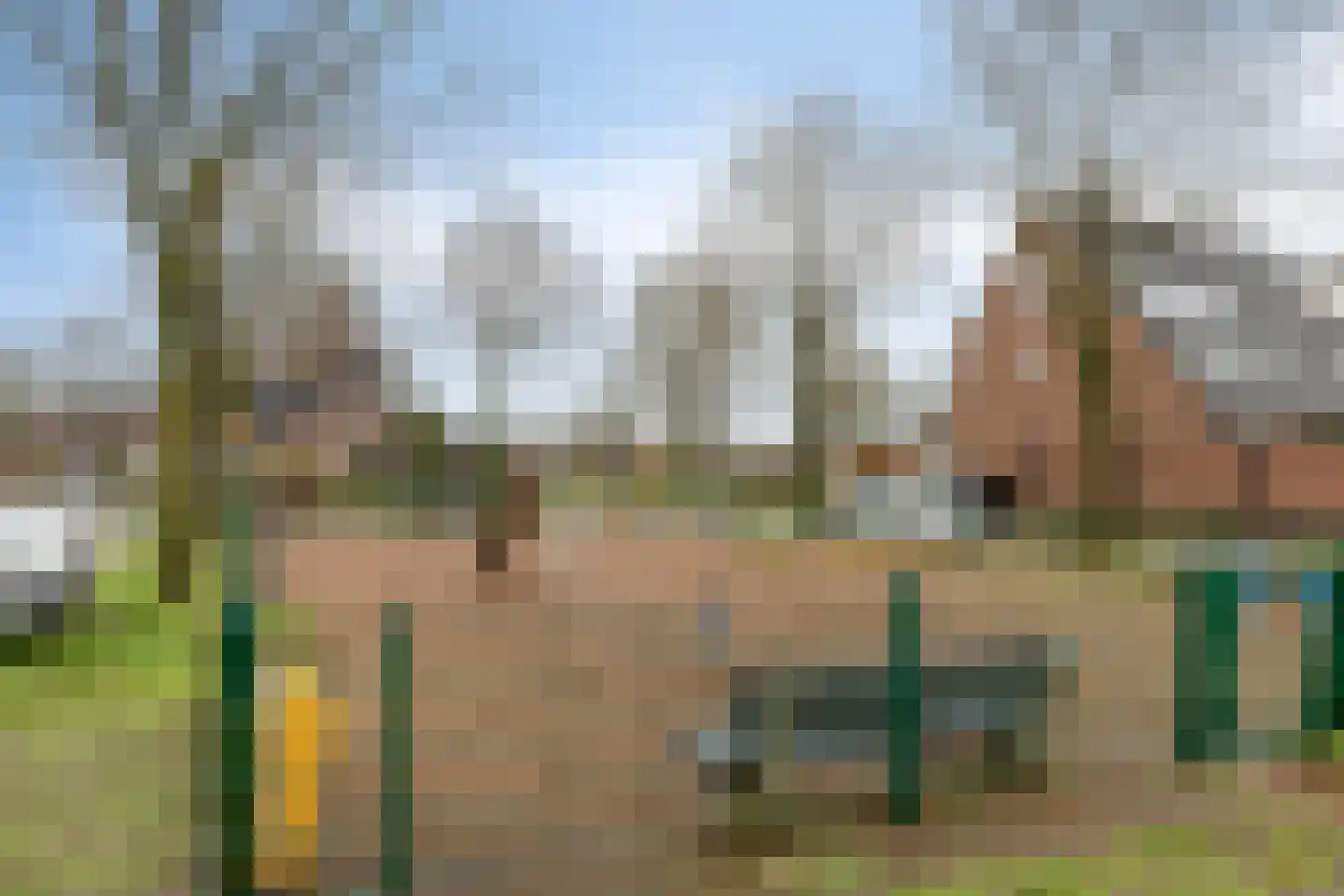Jasmijnstraat 20 Ederveen thumbnail 43