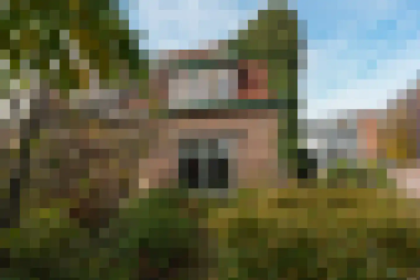 Jasmijnstraat 20 Nijmegen