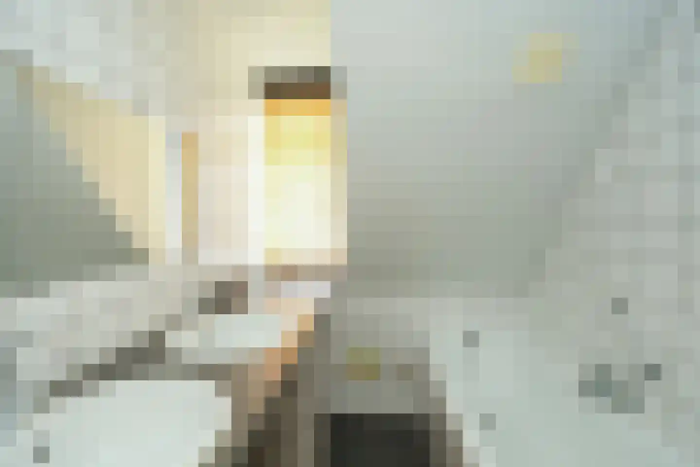 Jasmijnstraat 20 Nijmegen thumbnail 28