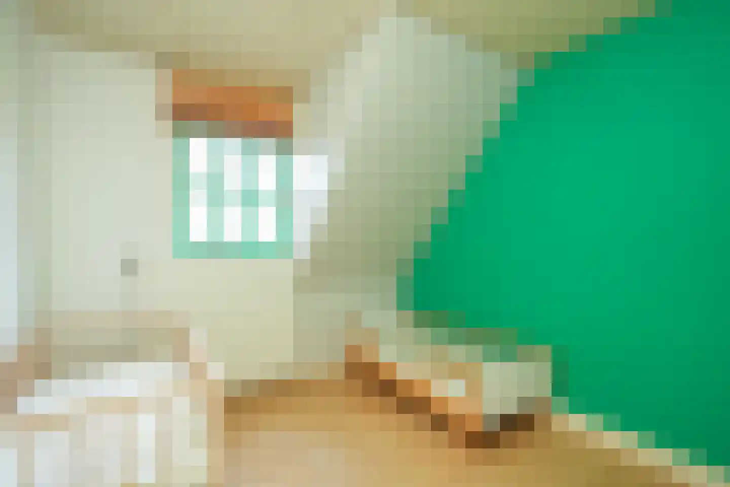 Jasmijnstraat 20 Nijmegen thumbnail 32