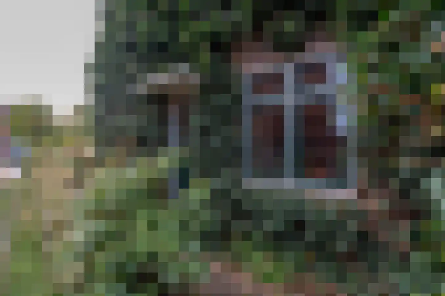 Jasmijnstraat 20 Nijmegen thumbnail 4