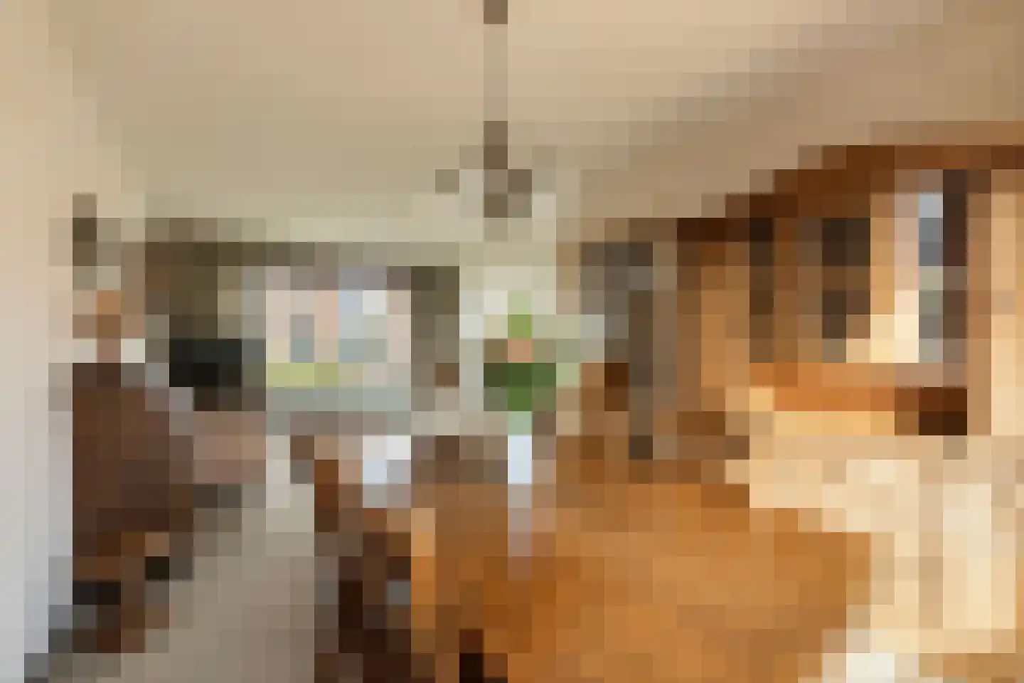 Jasmijnstraat 21 Beneden-Leeuwen thumbnail 11