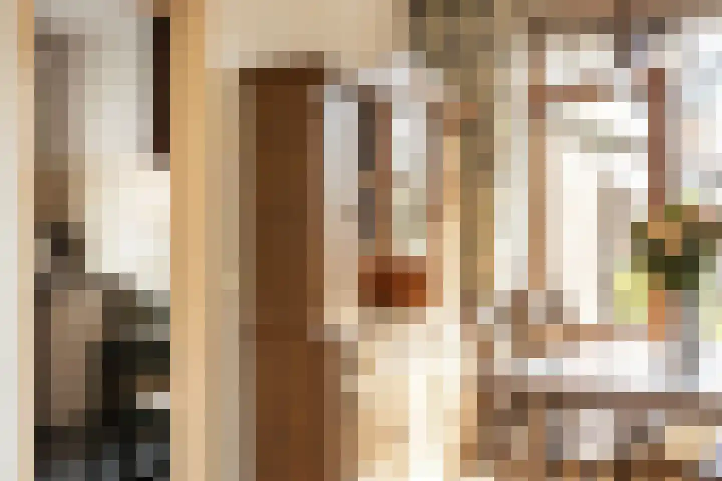 Jasmijnstraat 21 Beneden-Leeuwen thumbnail 15