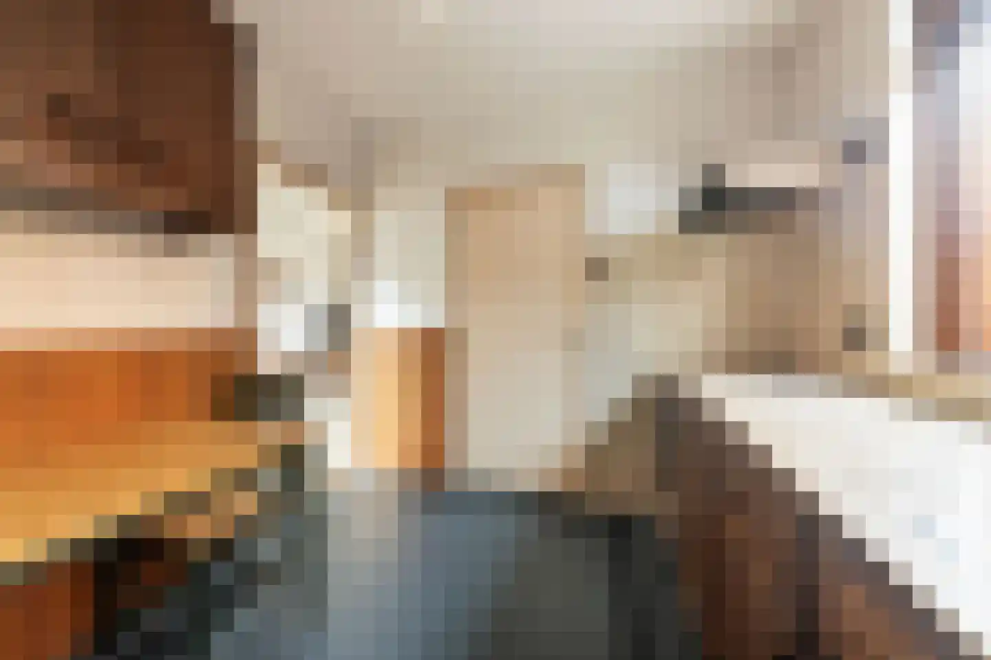 Jasmijnstraat 21 Beneden-Leeuwen thumbnail 17