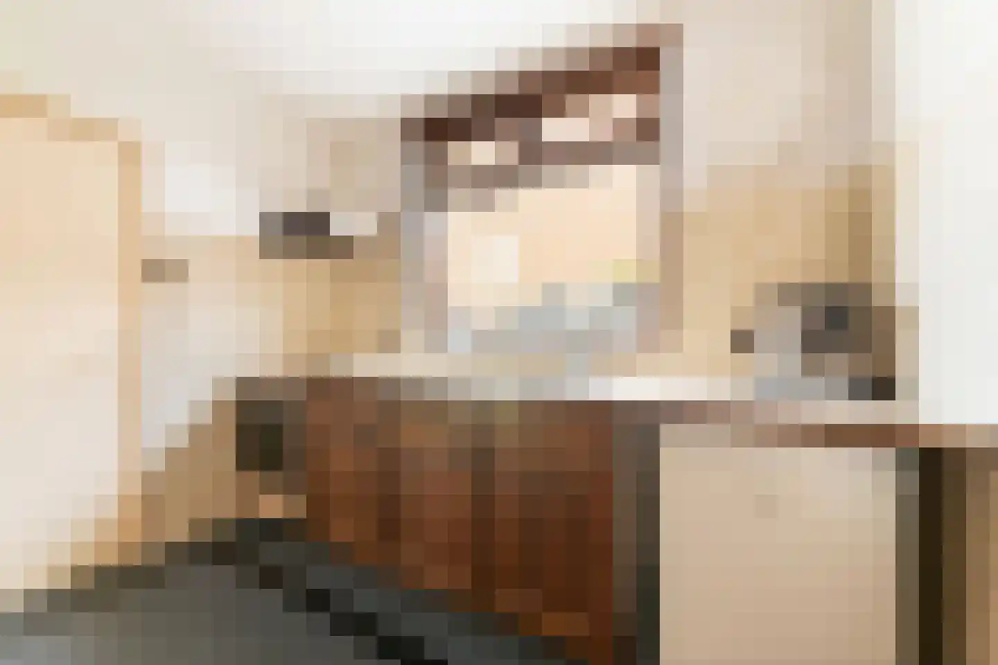 Jasmijnstraat 21 Beneden-Leeuwen thumbnail 18