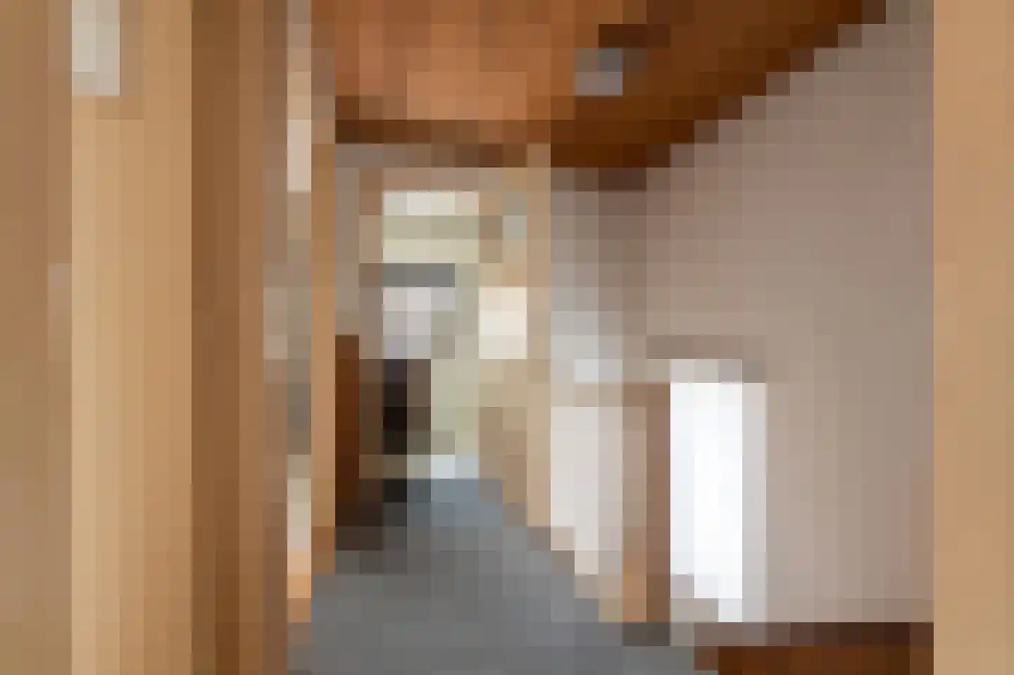Jasmijnstraat 21 Beneden-Leeuwen thumbnail 28