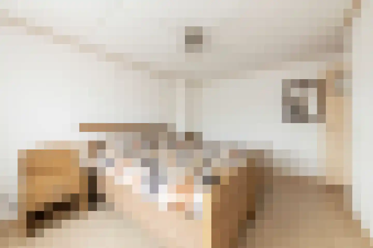 Jasmijnstraat 21 Beneden-Leeuwen thumbnail 32