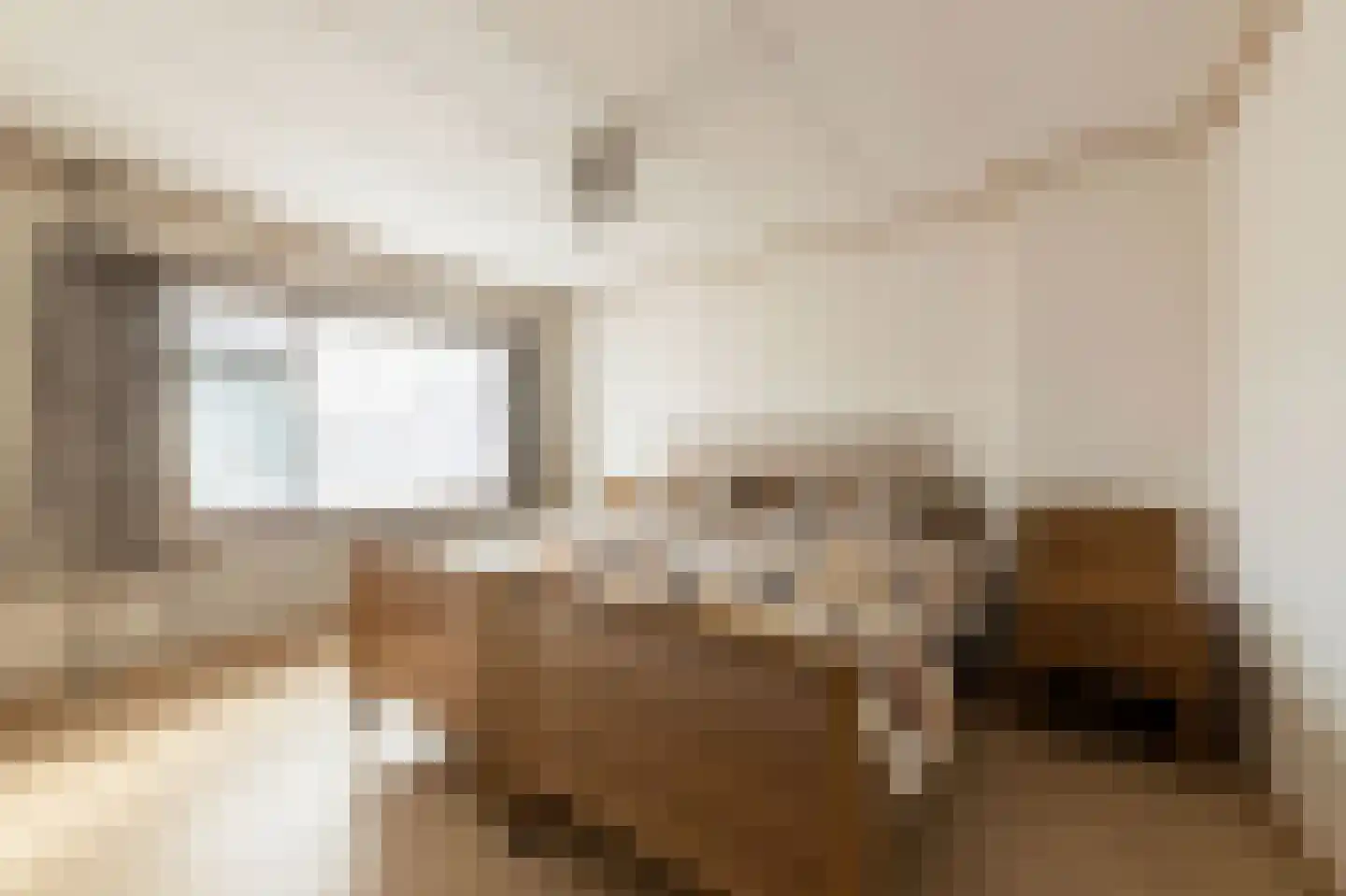Jasmijnstraat 21 Beneden-Leeuwen thumbnail 33