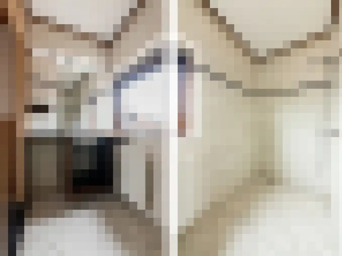 Jasmijnstraat 21 Beneden-Leeuwen thumbnail 37