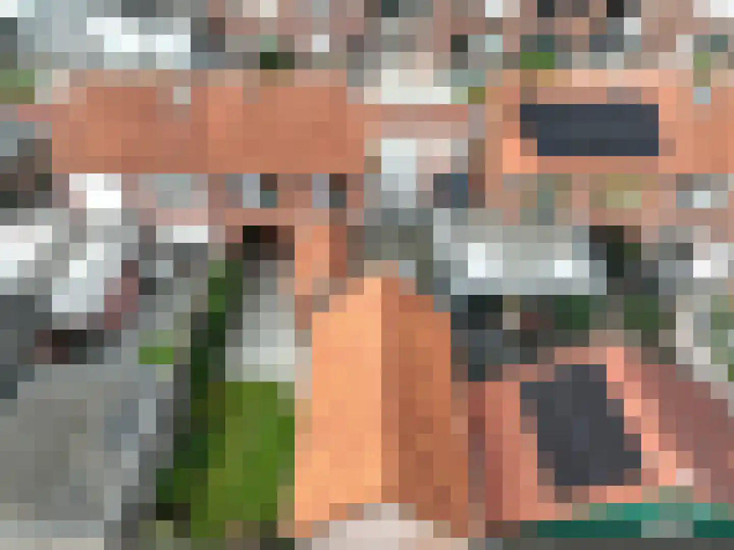 Jasmijnstraat 21 Beneden-Leeuwen thumbnail 39