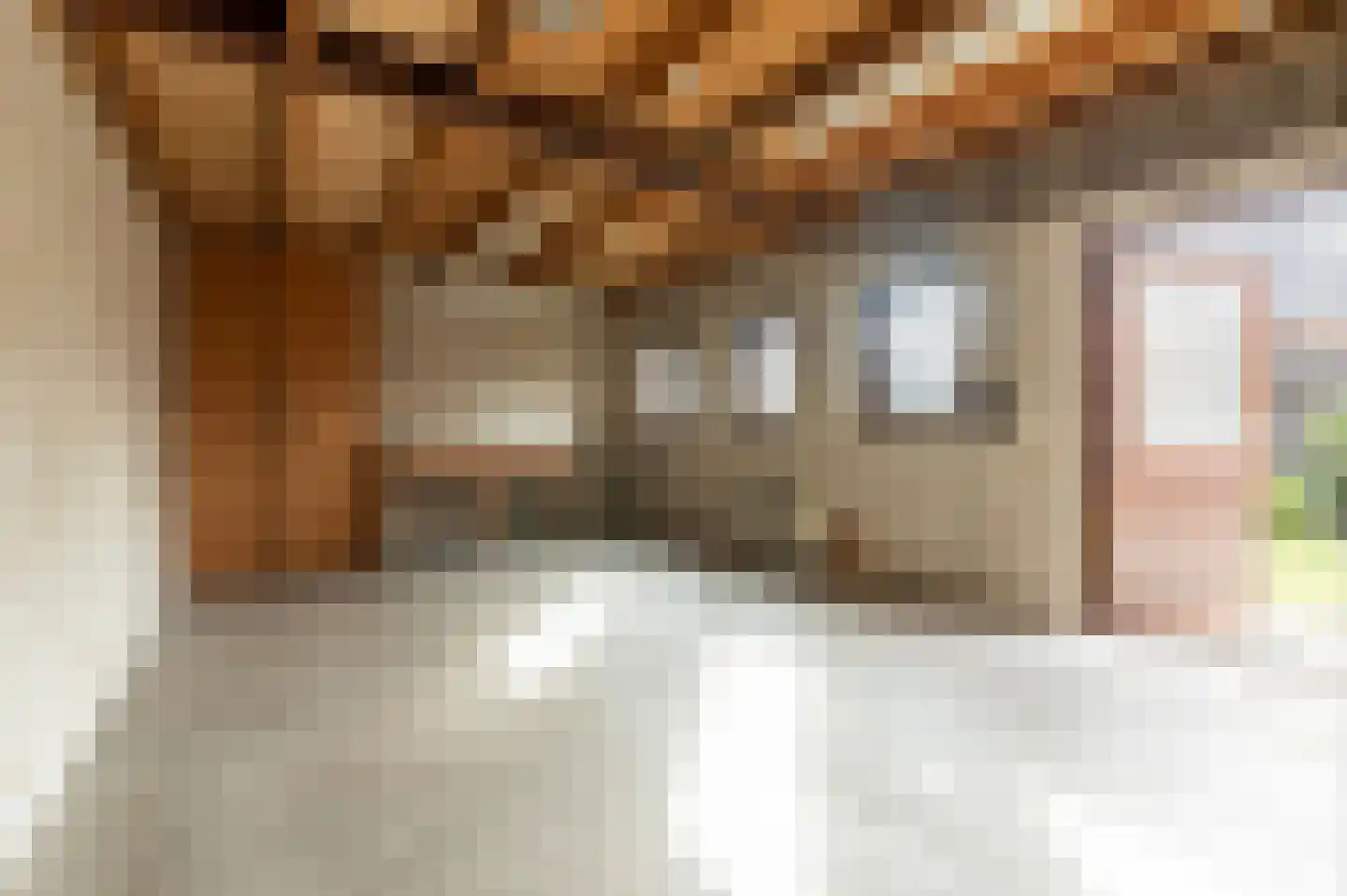 Jasmijnstraat 21 Beneden-Leeuwen thumbnail 42