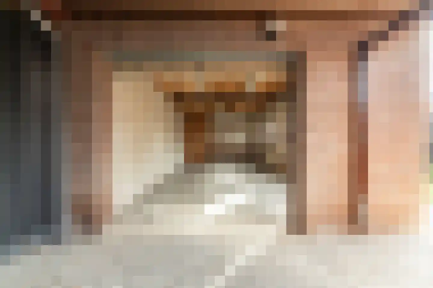 Jasmijnstraat 21 Beneden-Leeuwen thumbnail 44