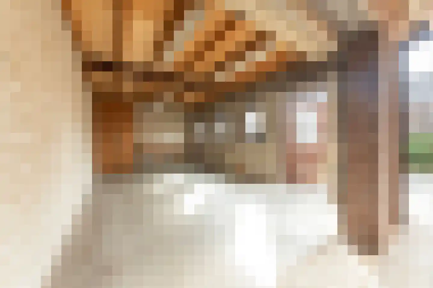 Jasmijnstraat 21 Beneden-Leeuwen thumbnail 45