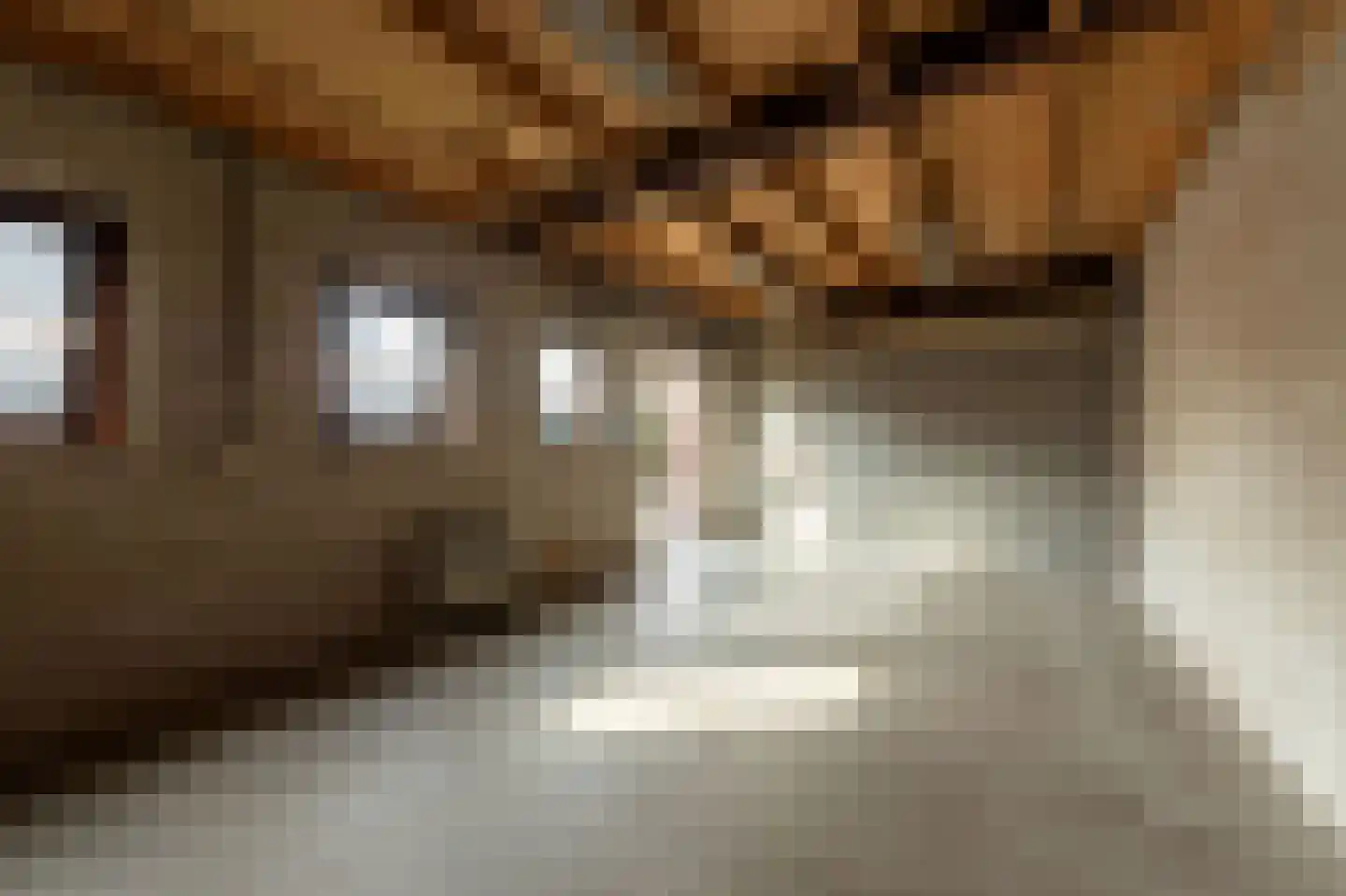 Jasmijnstraat 21 Beneden-Leeuwen thumbnail 46