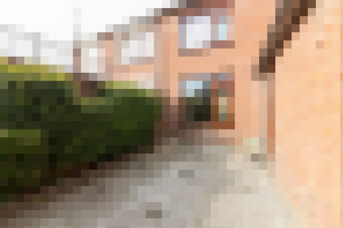 Jasmijnstraat 21 Beneden-Leeuwen thumbnail 49