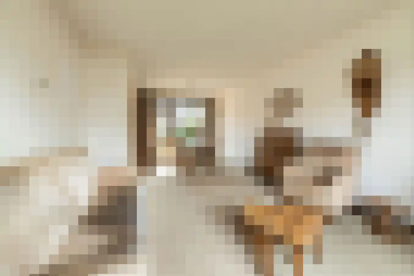 Jasmijnstraat 21 Beneden-Leeuwen thumbnail 5