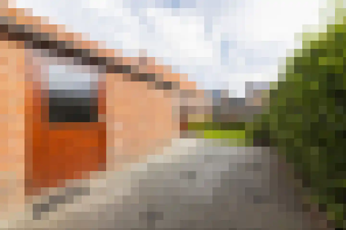 Jasmijnstraat 21 Beneden-Leeuwen thumbnail 50
