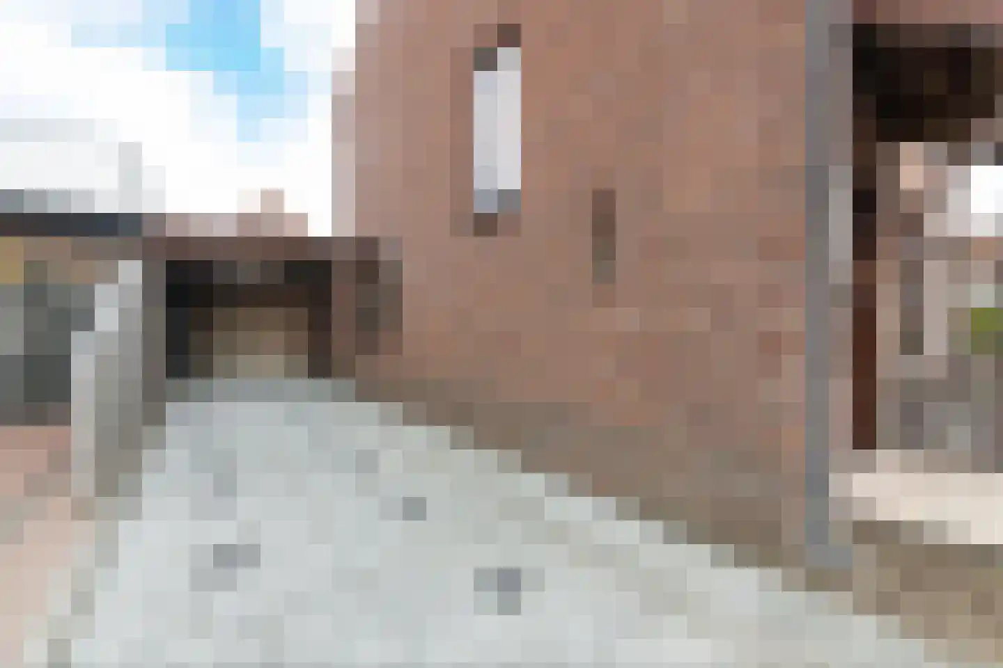 Jasmijnstraat 21 Beneden-Leeuwen thumbnail 54