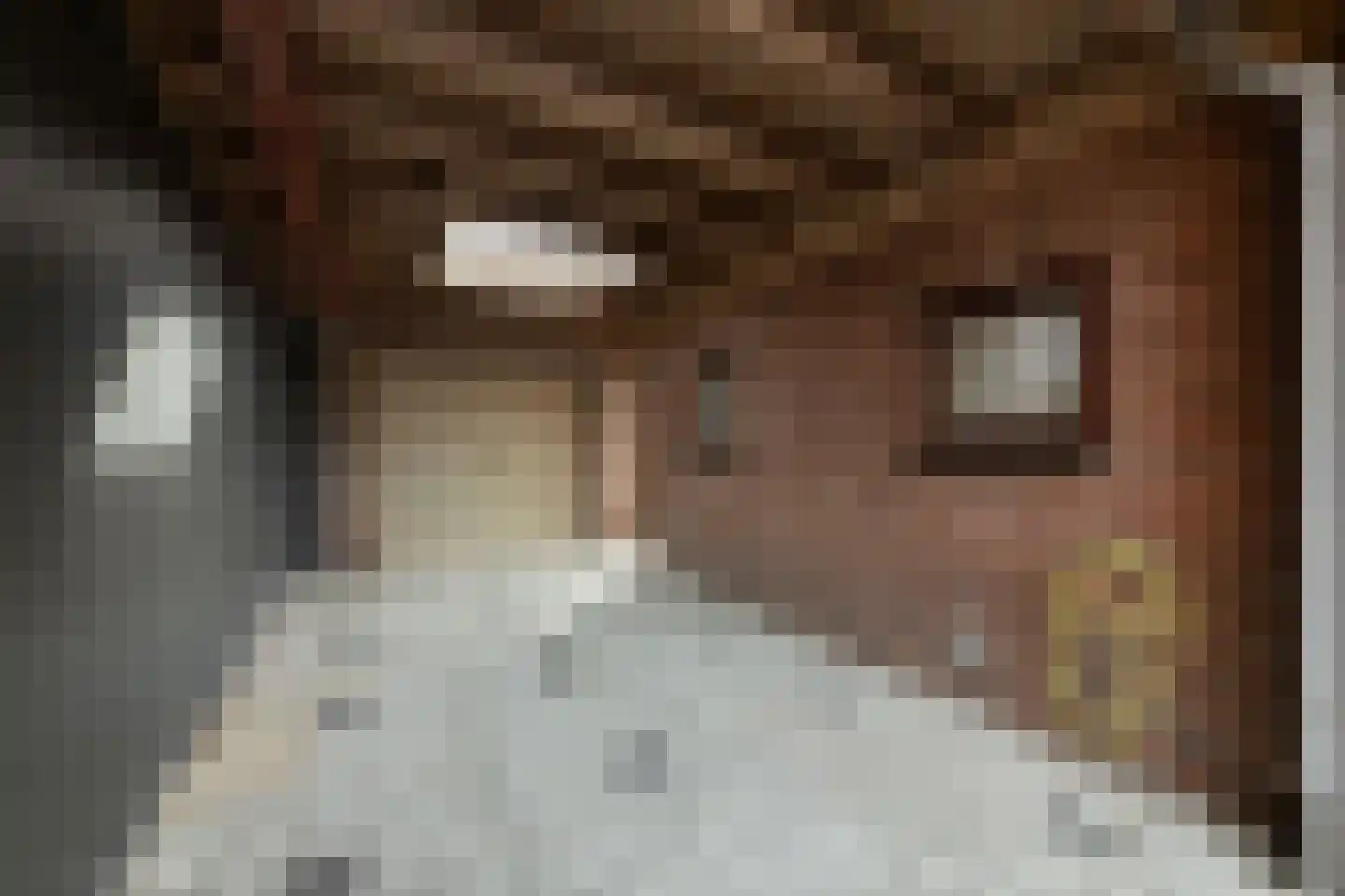 Jasmijnstraat 21 Beneden-Leeuwen thumbnail 56