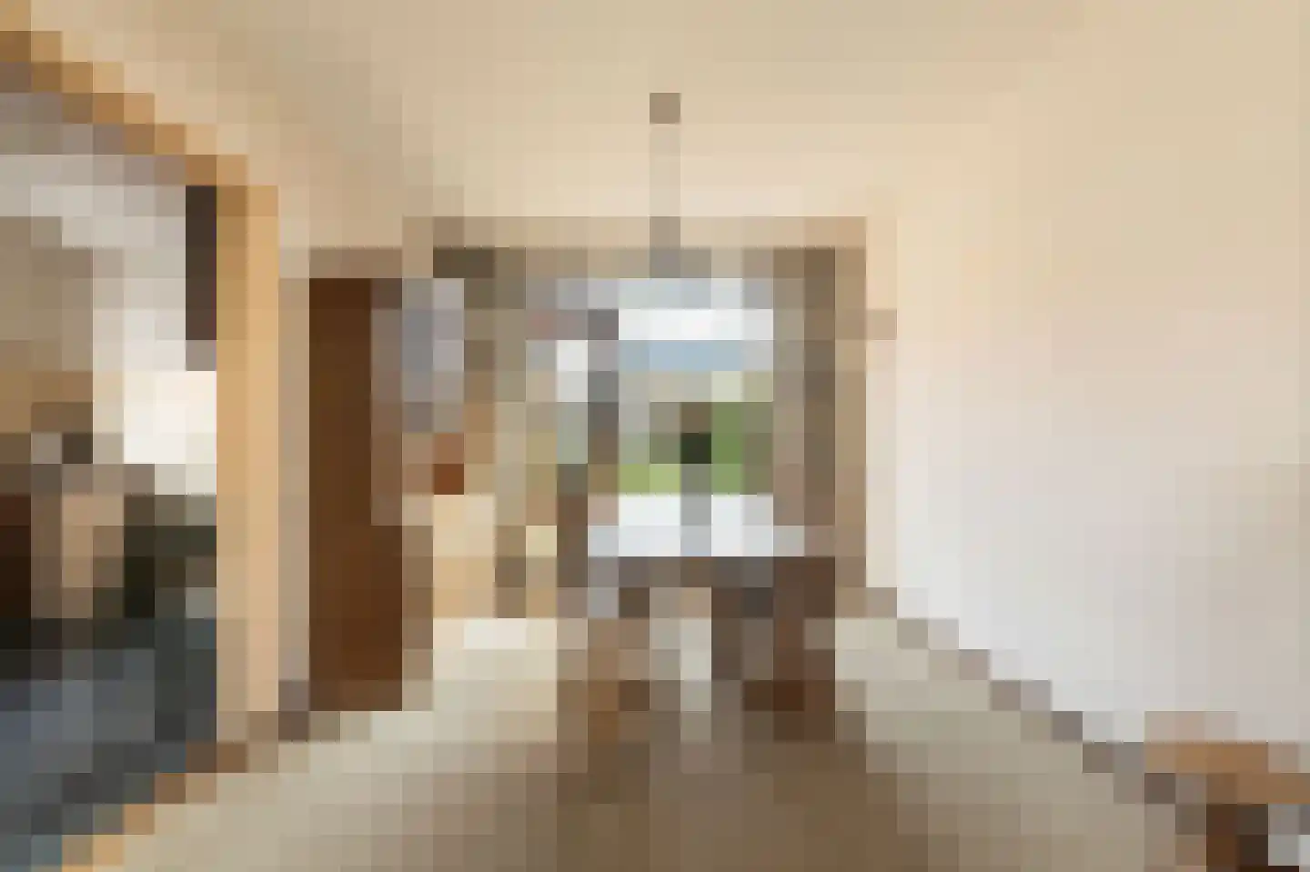 Jasmijnstraat 21 Beneden-Leeuwen thumbnail 6