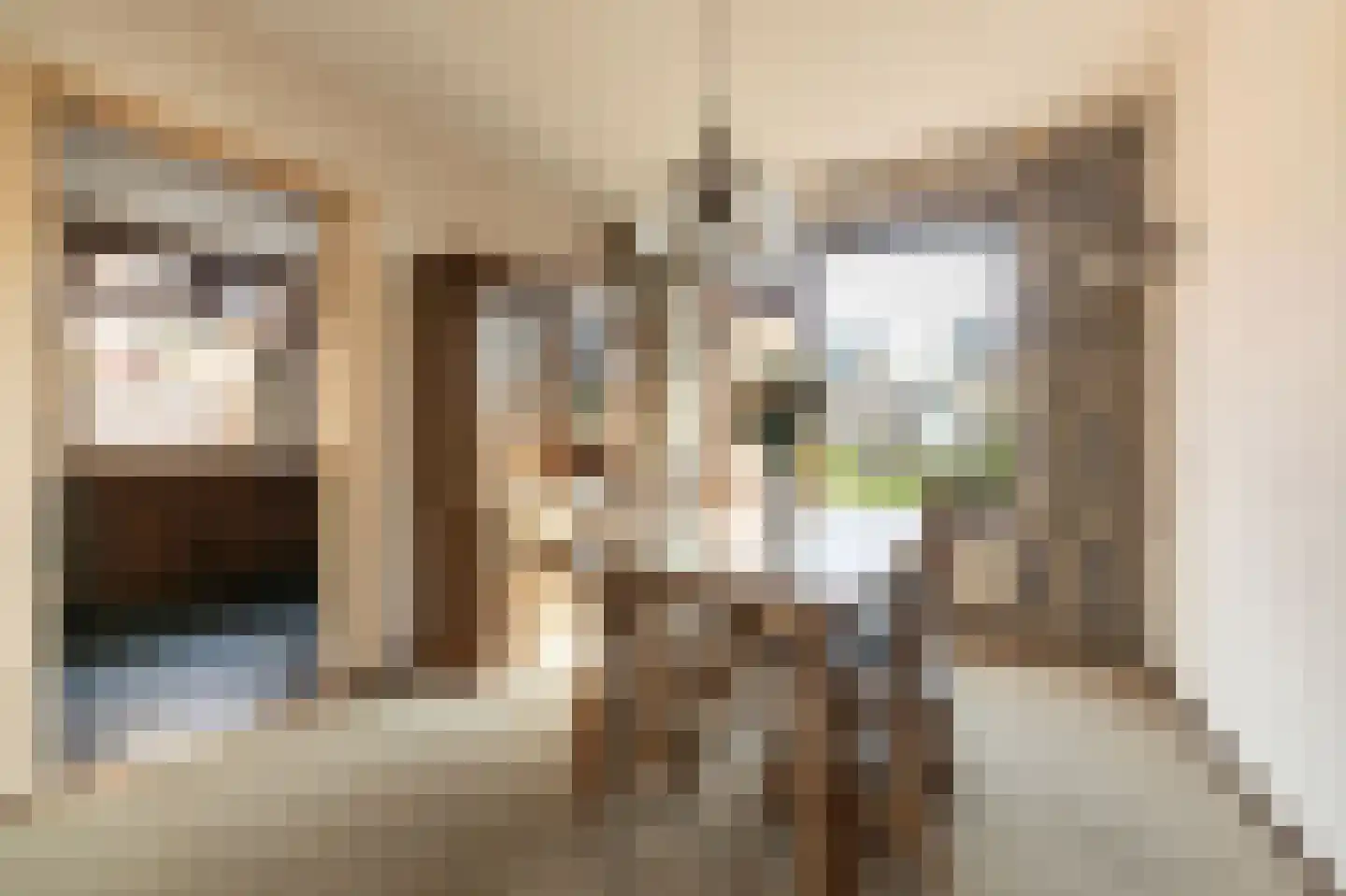 Jasmijnstraat 21 Beneden-Leeuwen thumbnail 8