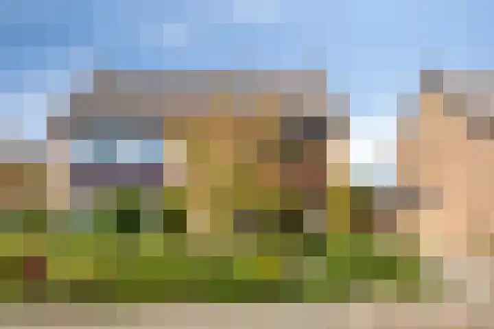 Jasmijnstraat 21 Puttershoek thumbnail 4