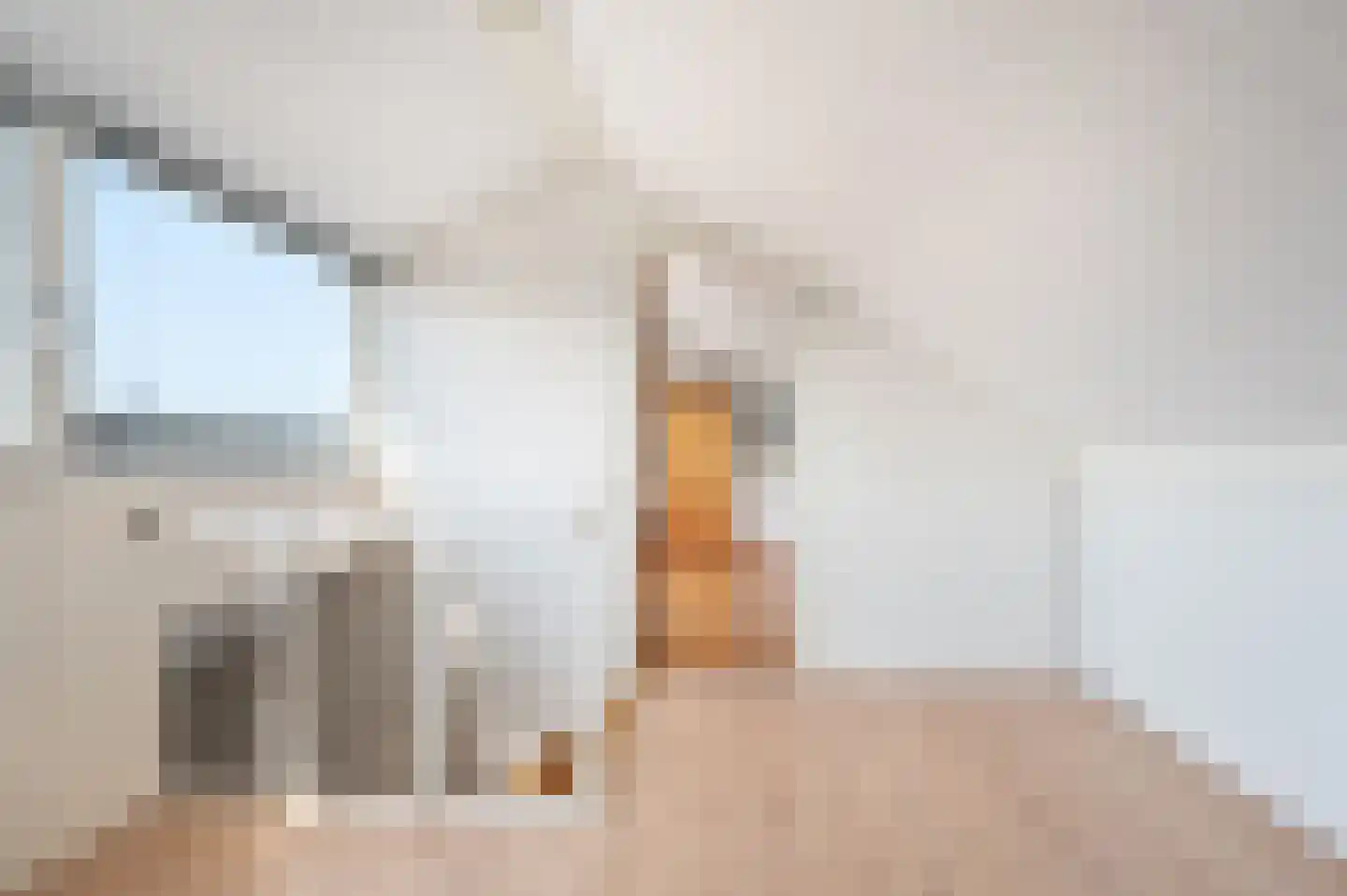 Jasmijnstraat 23 Sint-Oedenrode thumbnail 30