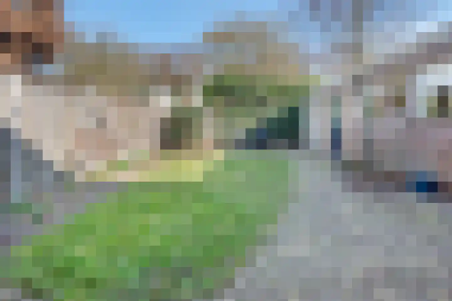 Jasmijnstraat 23 Sint-Oedenrode thumbnail 33