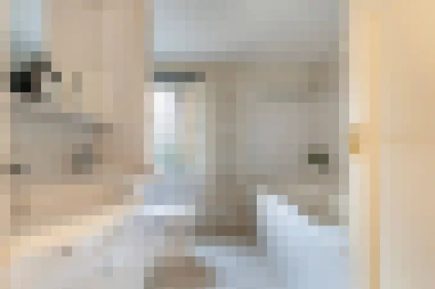 Jasmijnstraat 25 Borne thumbnail 24