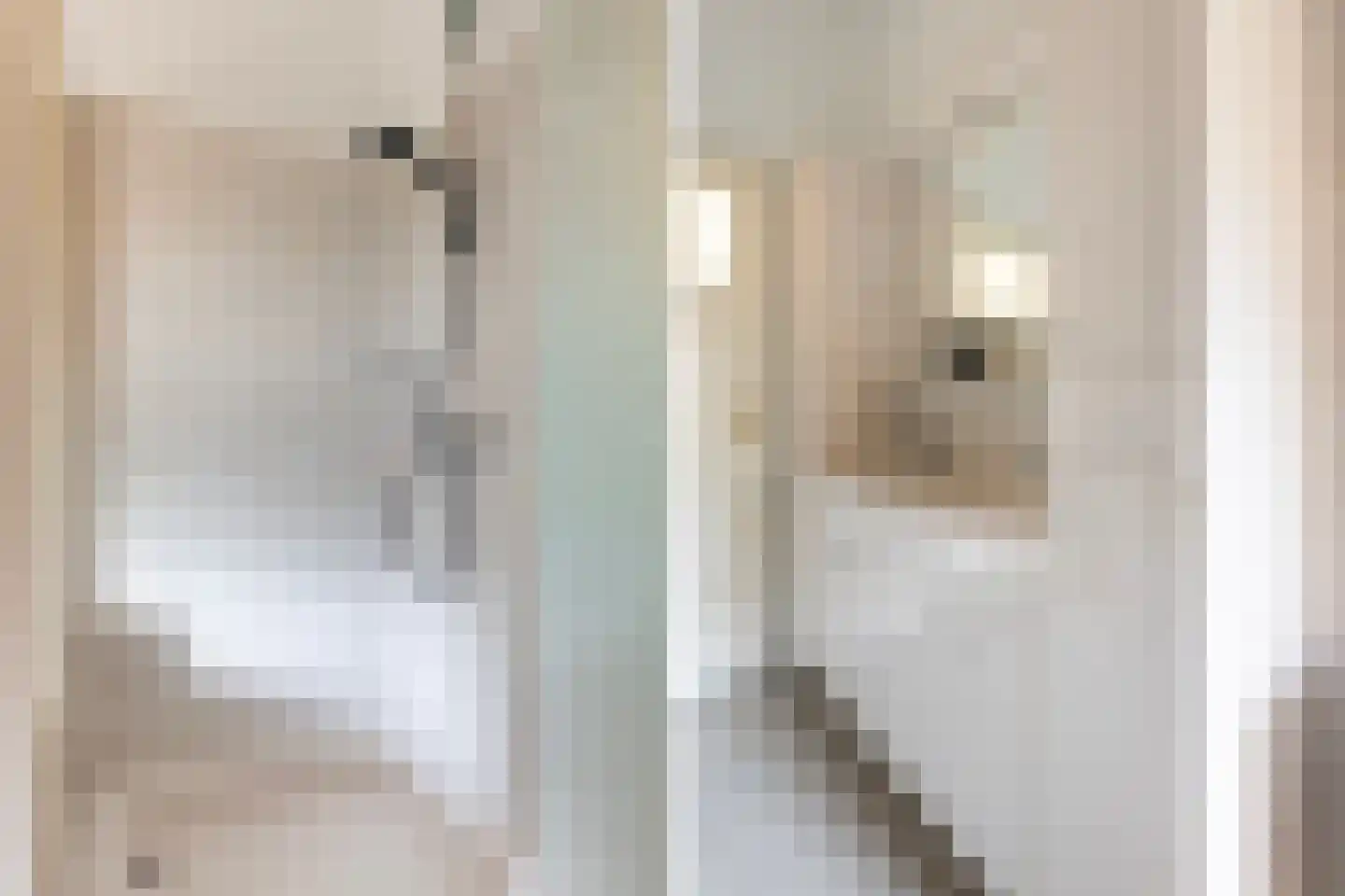 Jasmijnstraat 25 Borne thumbnail 25