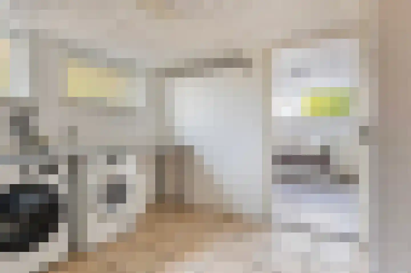 Jasmijnstraat 25 Borne thumbnail 31