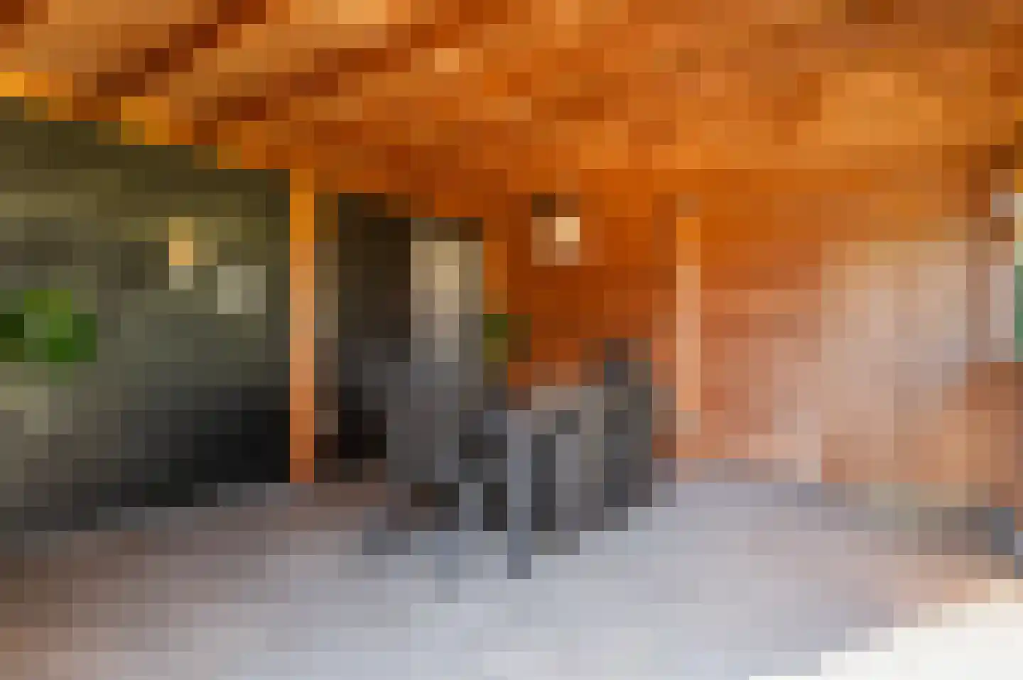 Jasmijnstraat 25 Borne thumbnail 43