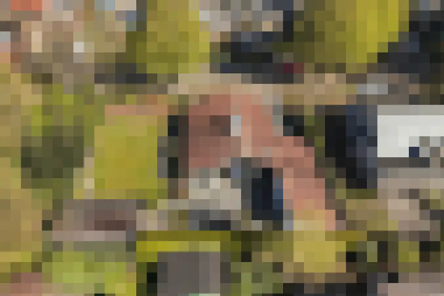 Jasmijnstraat 25 Borne thumbnail 44