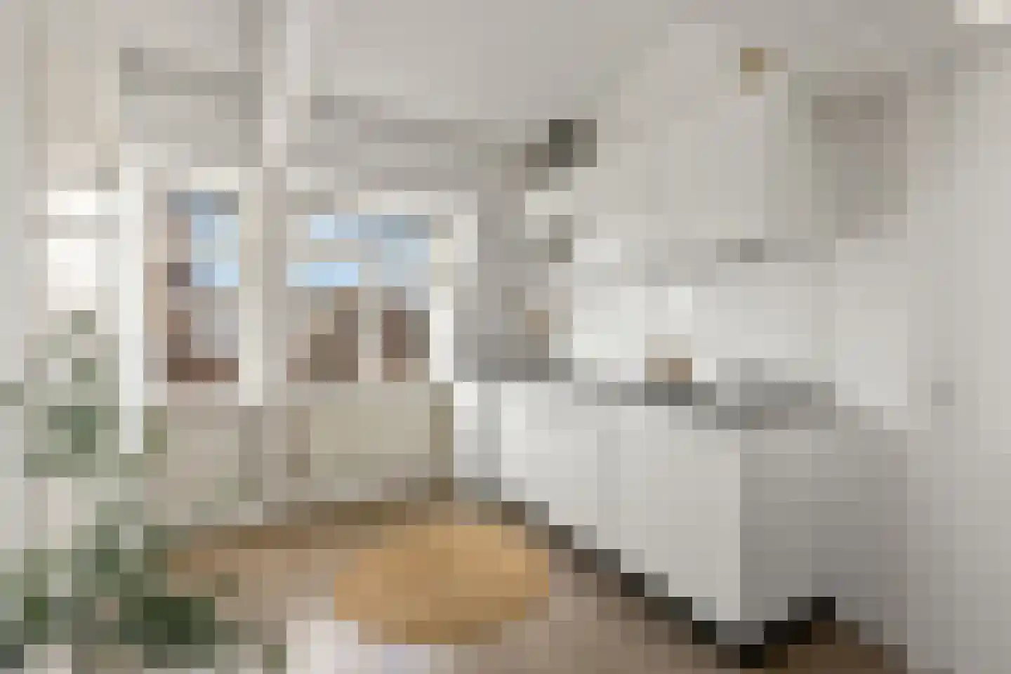 Jasmijnstraat 25 Utrecht thumbnail 12