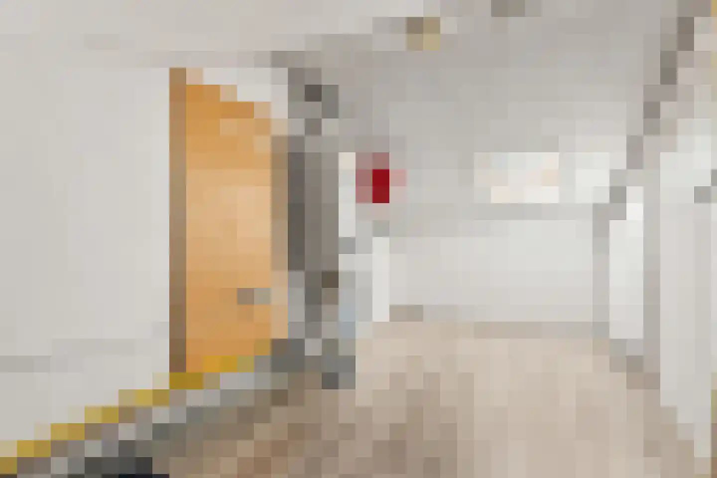 Jasmijnstraat 25 Utrecht thumbnail 22