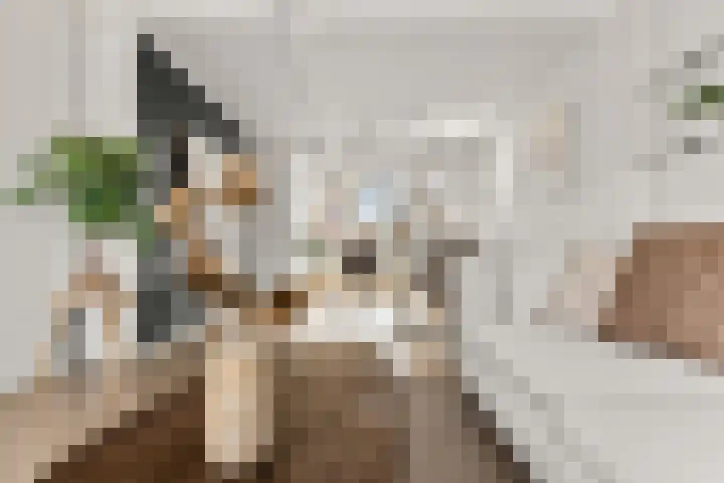 Jasmijnstraat 25 Utrecht thumbnail 5