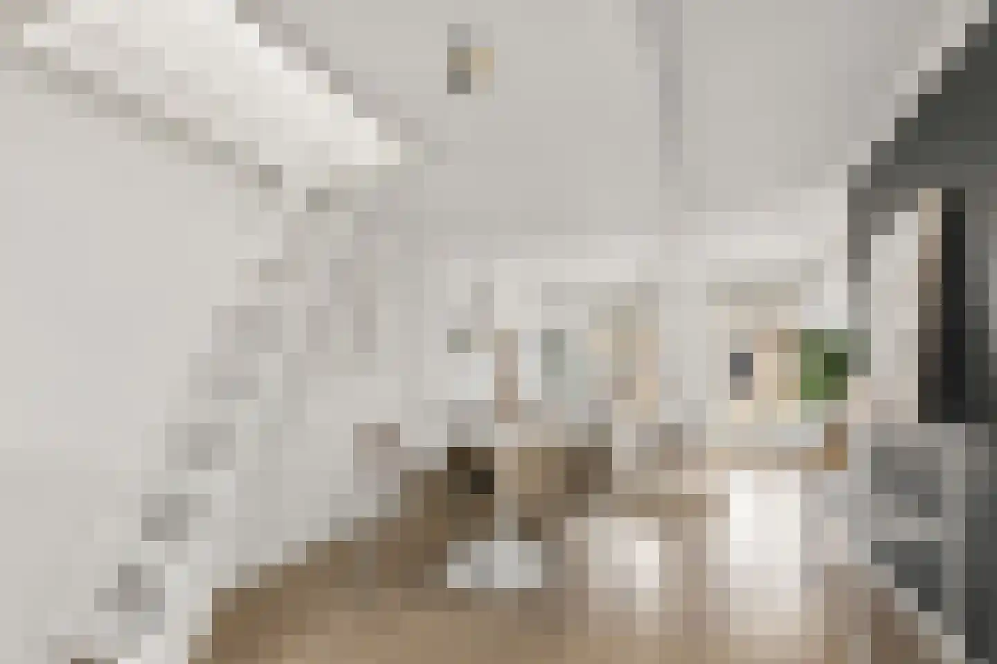 Jasmijnstraat 25 Utrecht thumbnail 9