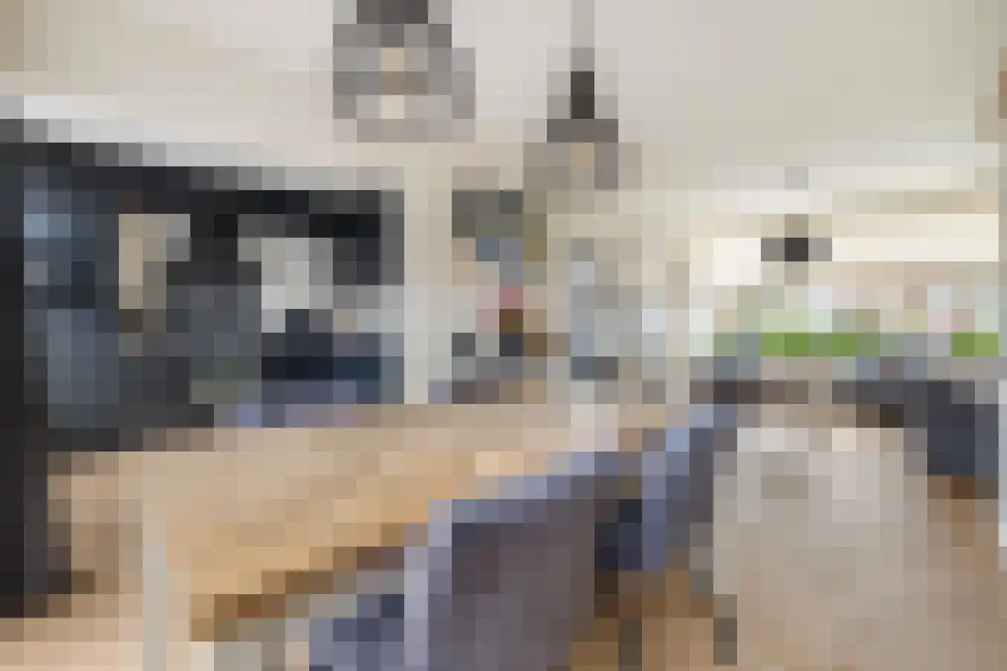 Jasmijnstraat 26 Breda thumbnail 14