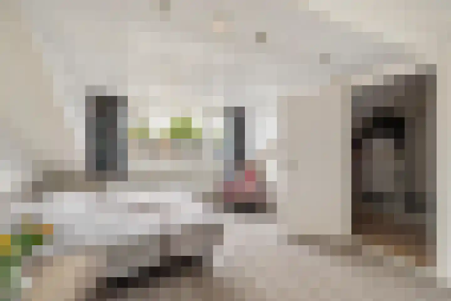 Jasmijnstraat 26 Breda thumbnail 32