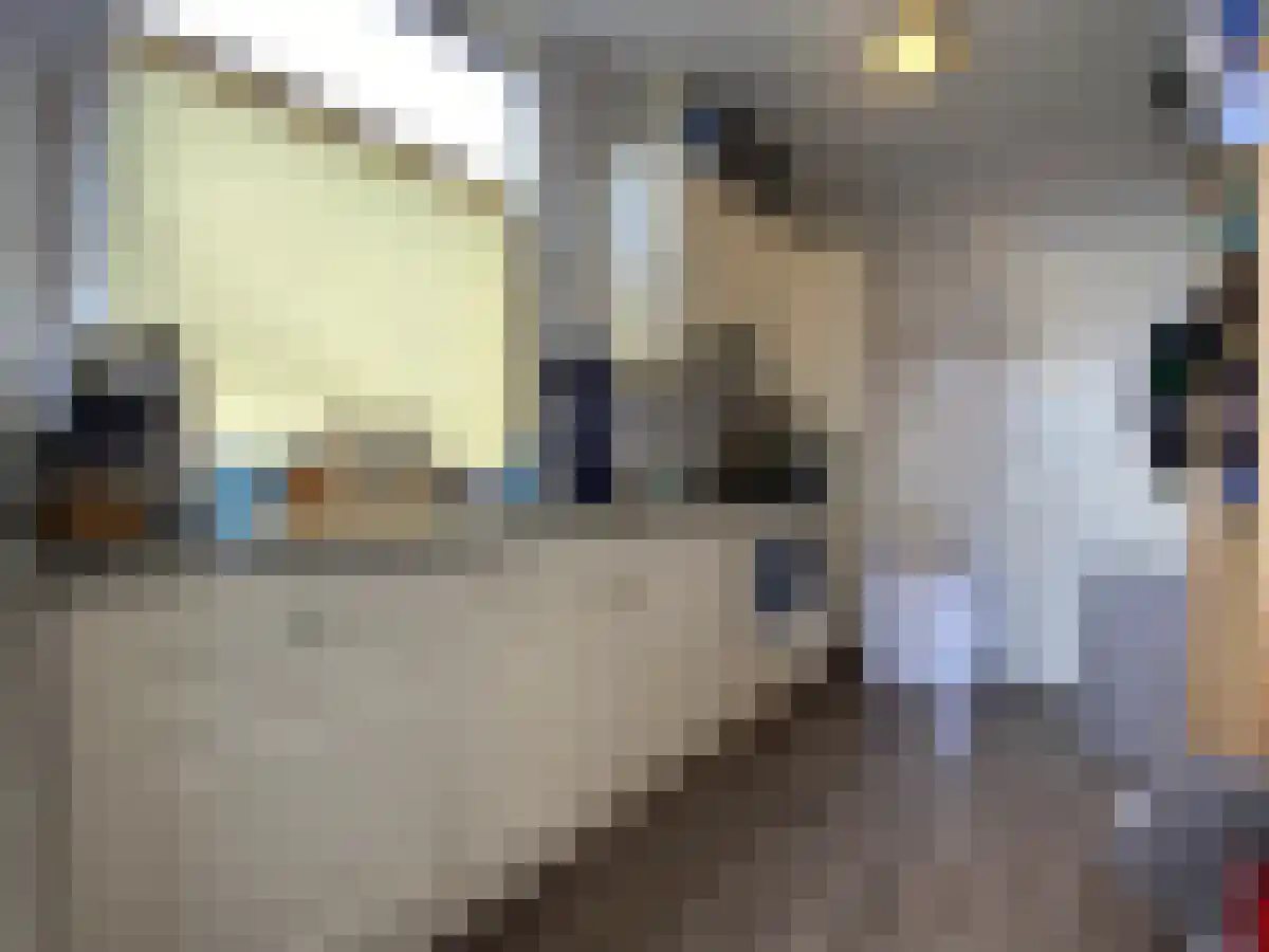 Jasmijnstraat 28 Den Haag thumbnail 5