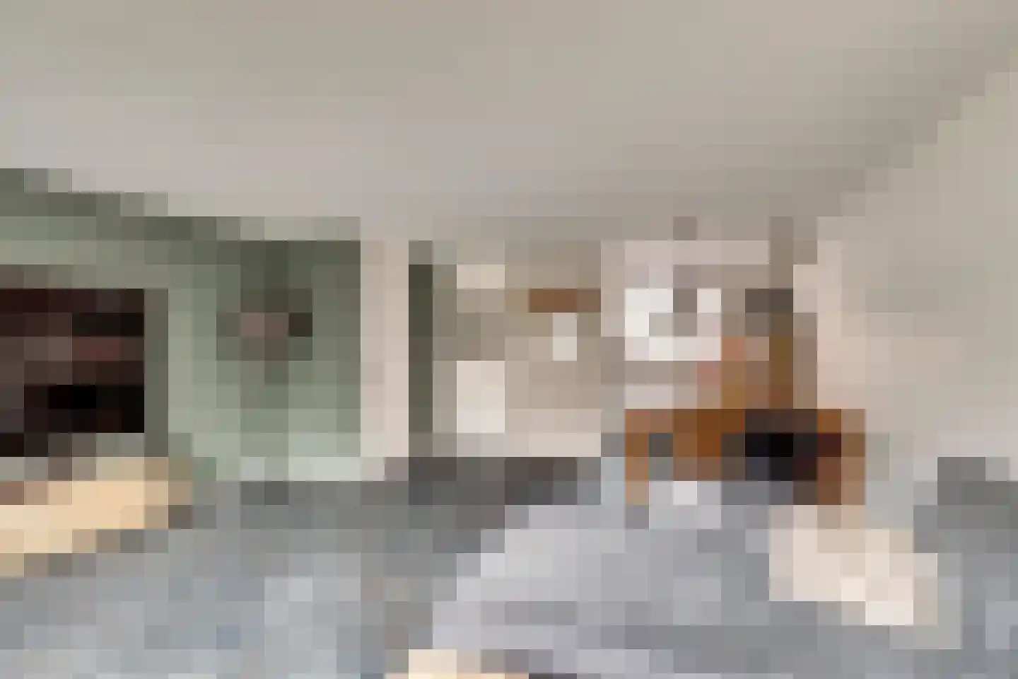 Jasmijnstraat 28 Leerdam thumbnail 7