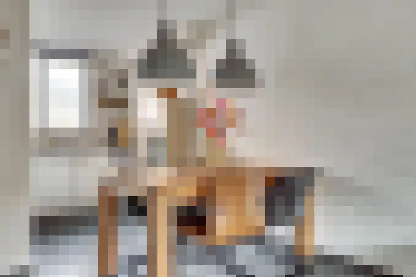Jasmijnstraat 28 Leerdam thumbnail 8
