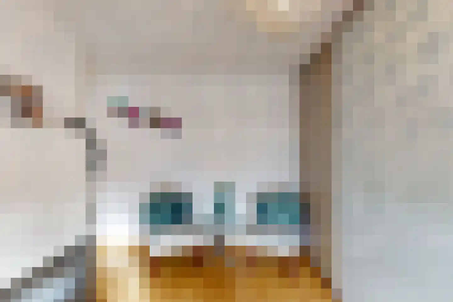 Jasmijnstraat 3 Geleen thumbnail 19