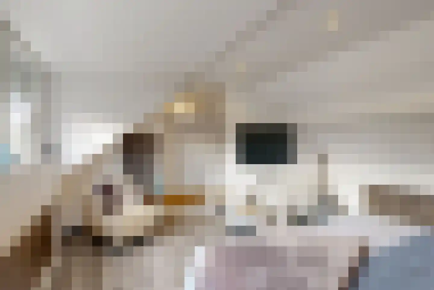 Jasmijnstraat 3 Geleen thumbnail 23